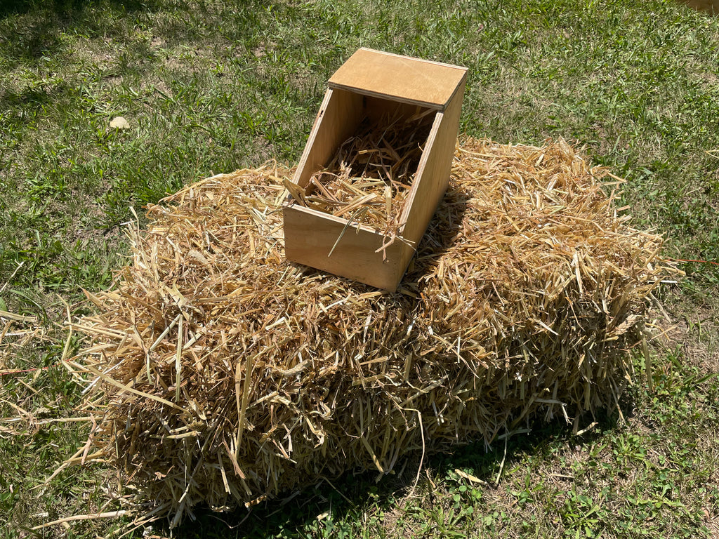 Small Nest Box