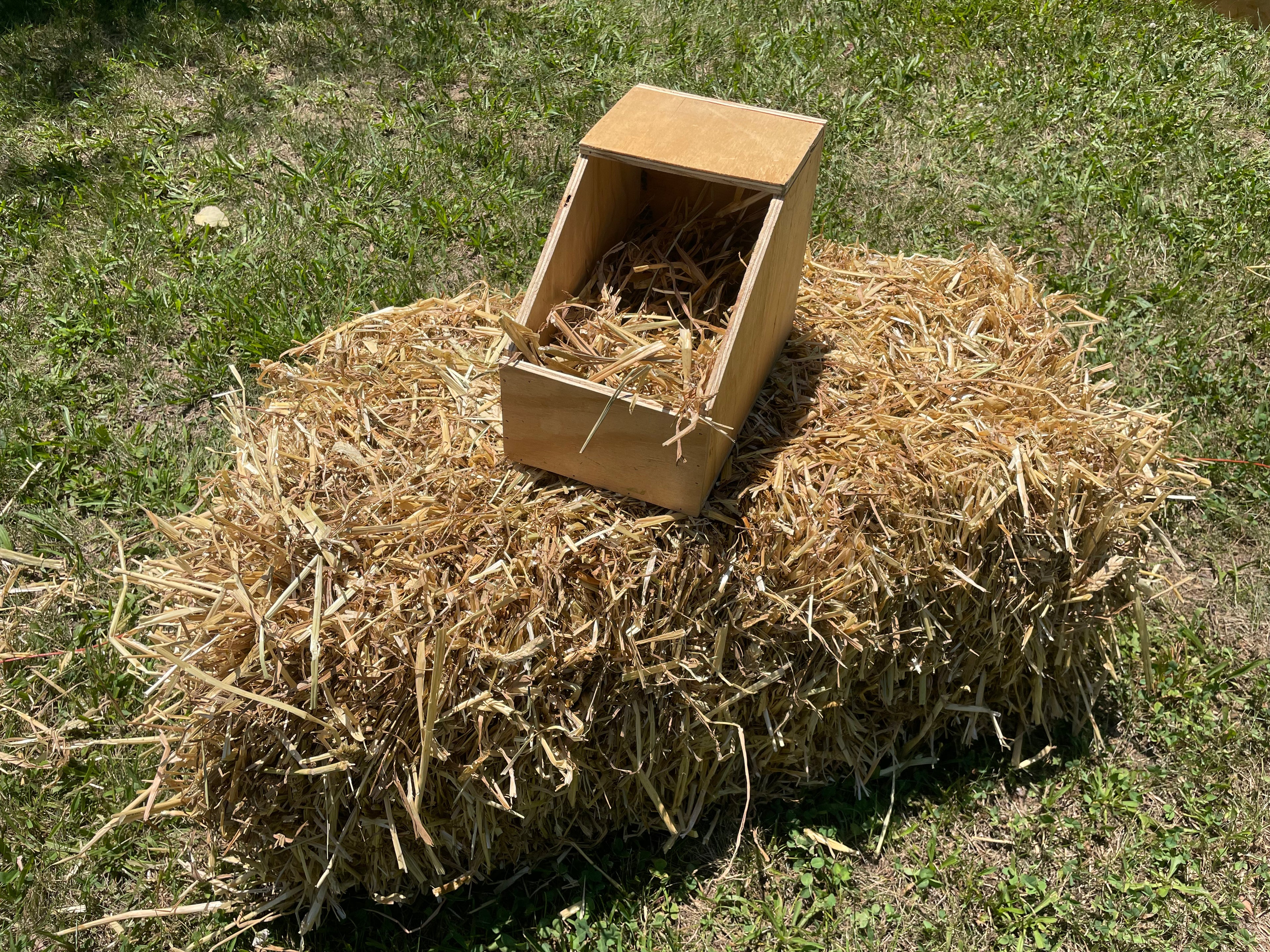 Small Nest Box