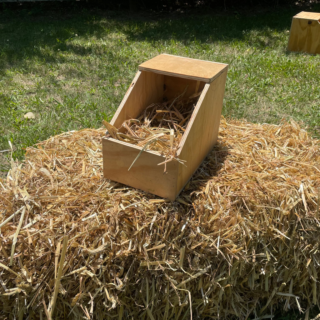 Small Nest Box