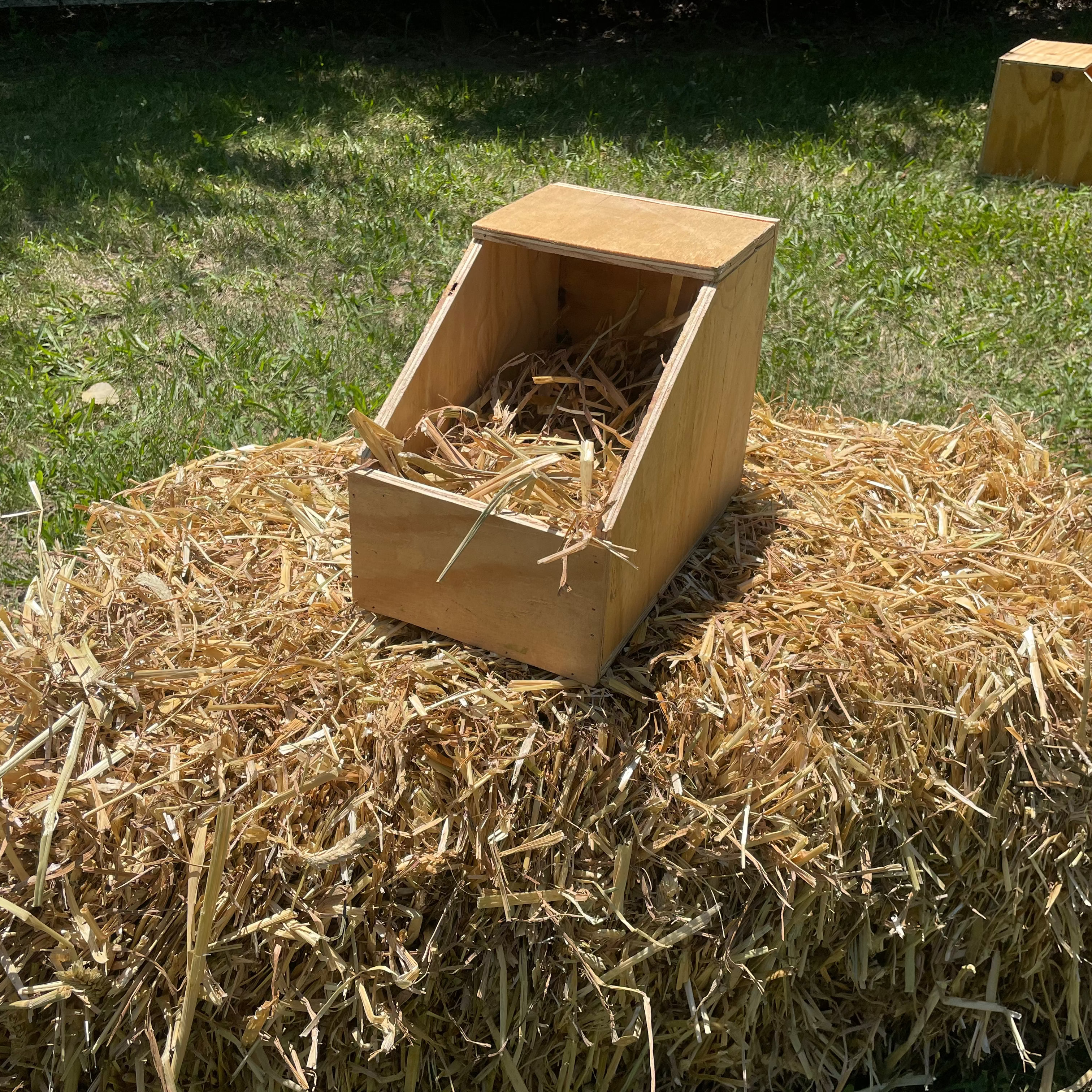 Small Nest Box