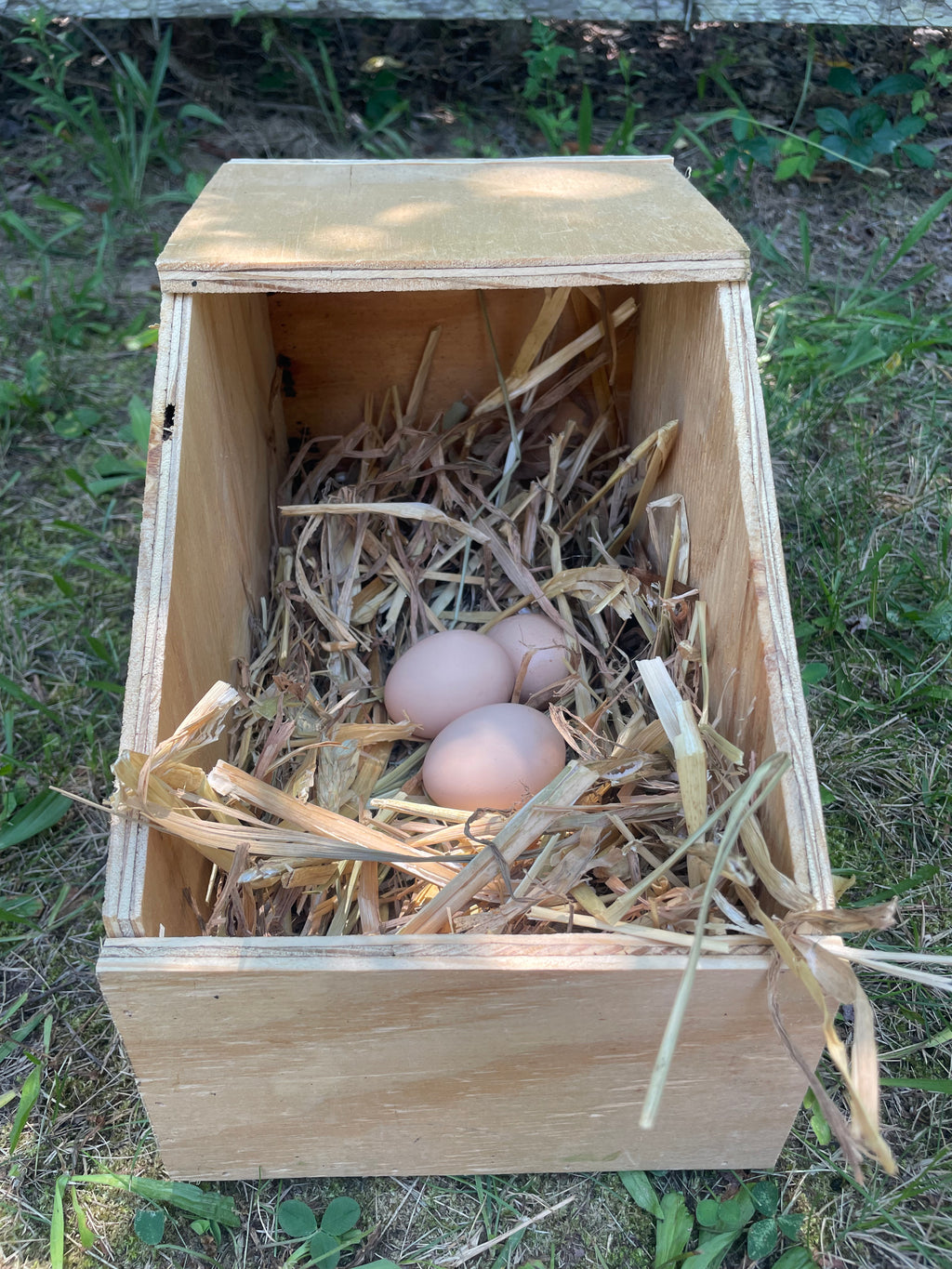 Small Nest Box
