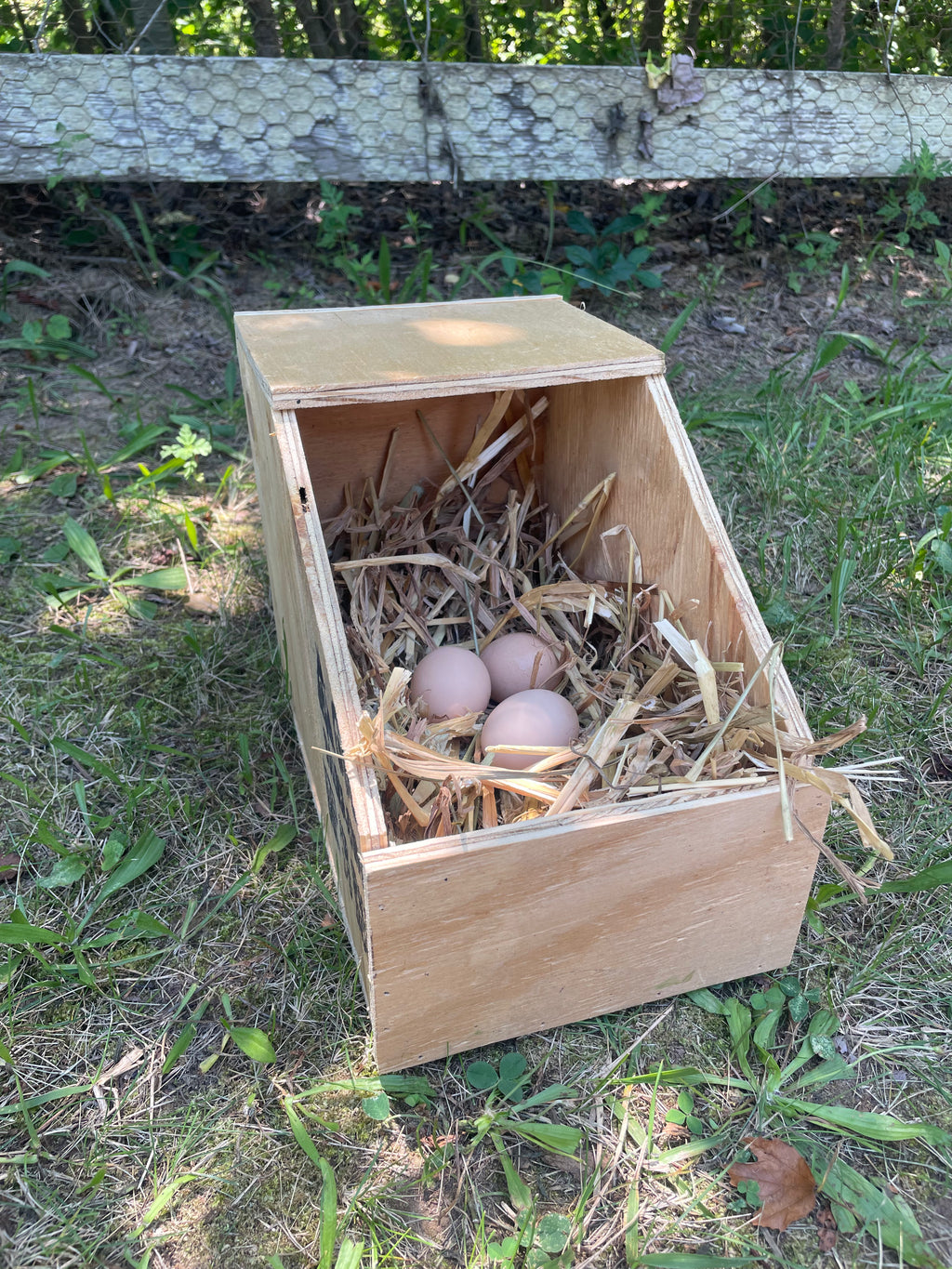 Small Nest Box