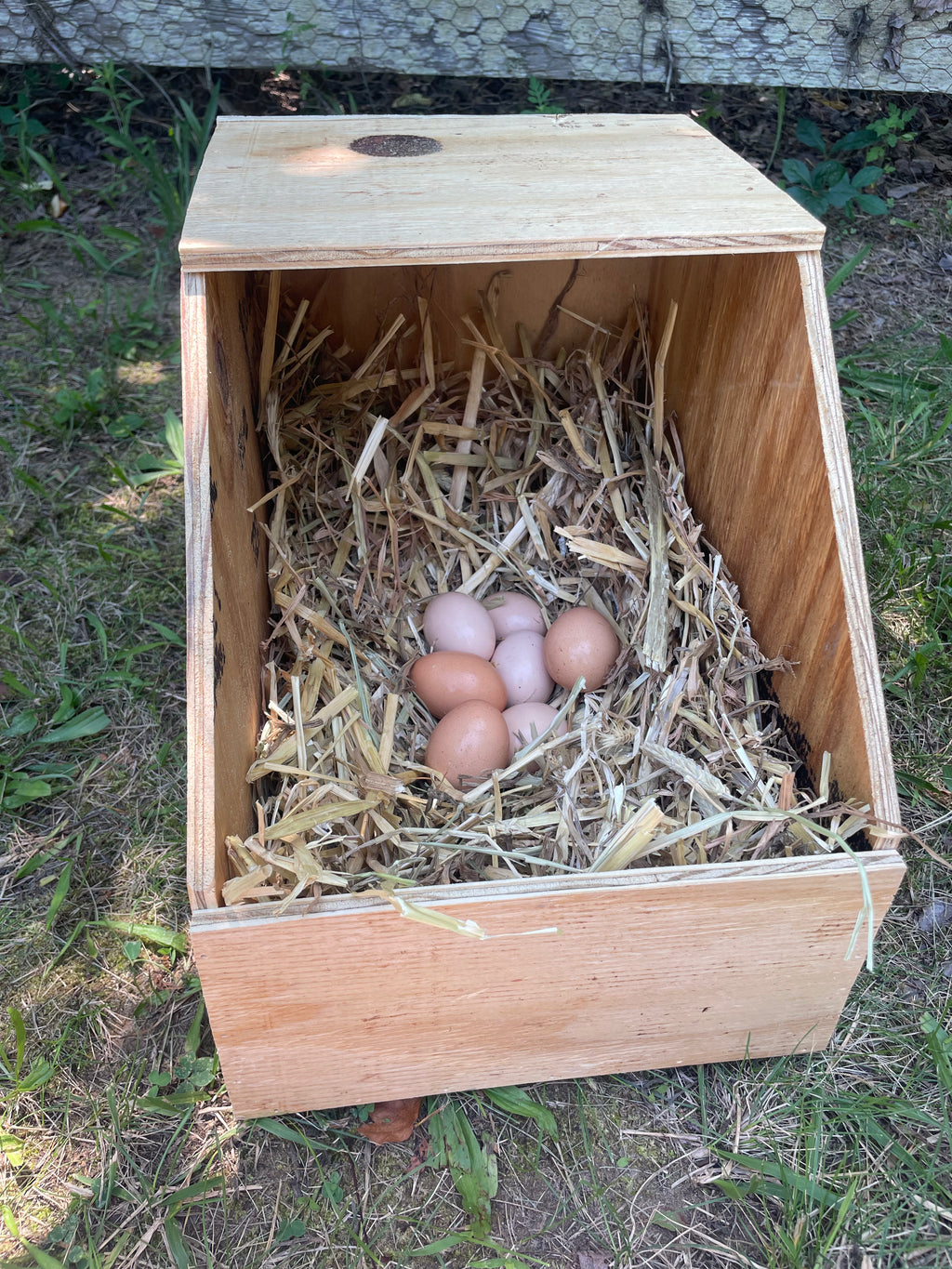 Medium Nest Box