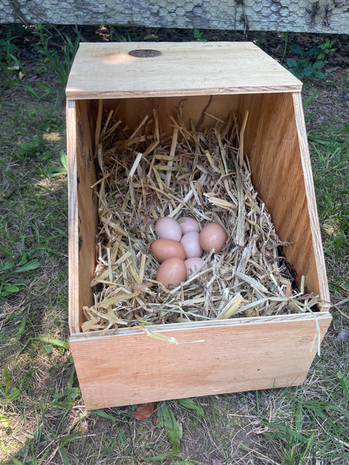 Medium Nest Box