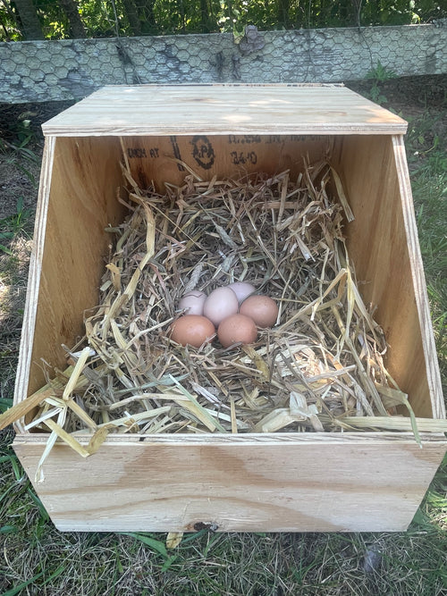 Large Nest Box