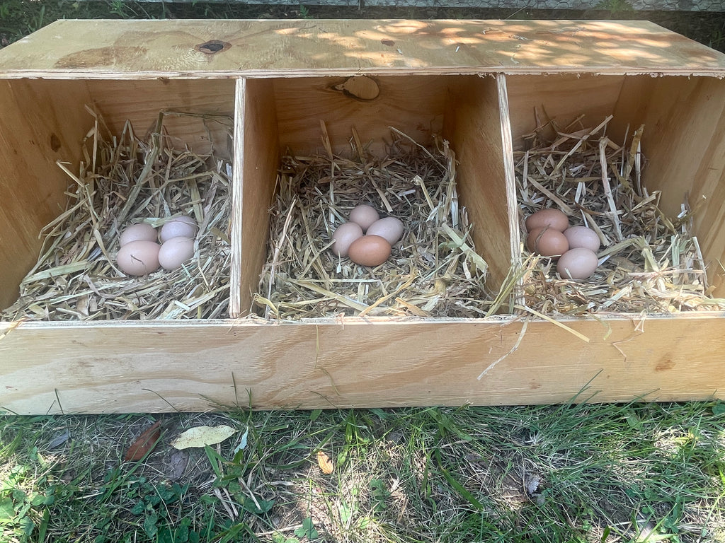 Triple Nestbox